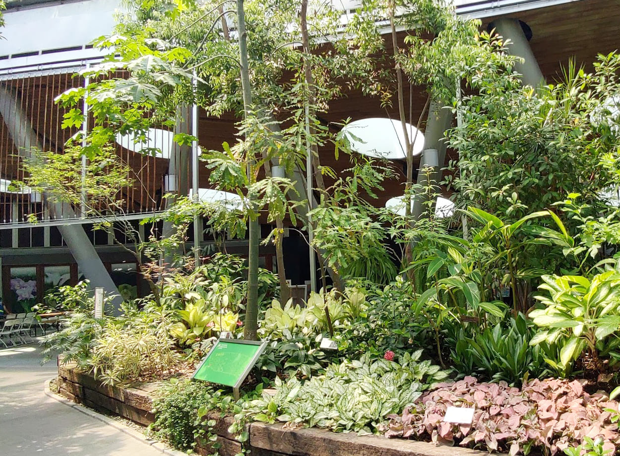 【臺北典藏植物園:隱身於城市的綠洲】